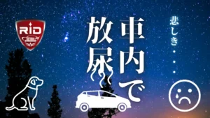 車内で放尿サムネイル